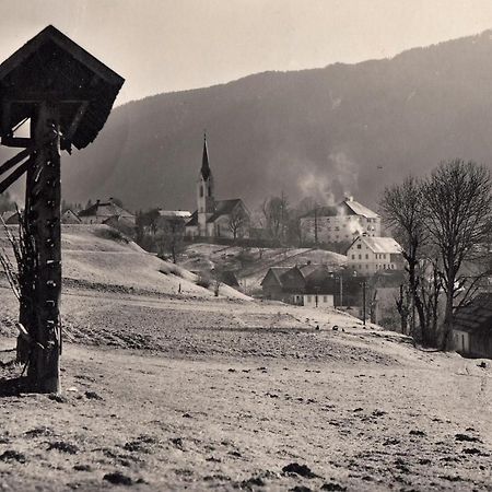 Apartments Edelweiss & Enzian - Gaestehaus Zum Fuchs Hermagor-Pressegger See Kültér fotó